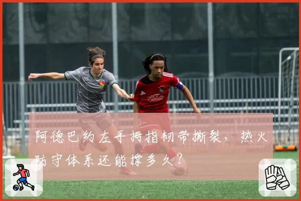 阿德巴约左手拇指韧带撕裂,热火防守体系还能撑多久?